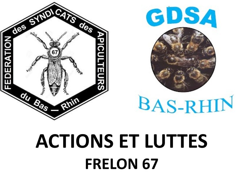 Actions et Luttes Frelons 67